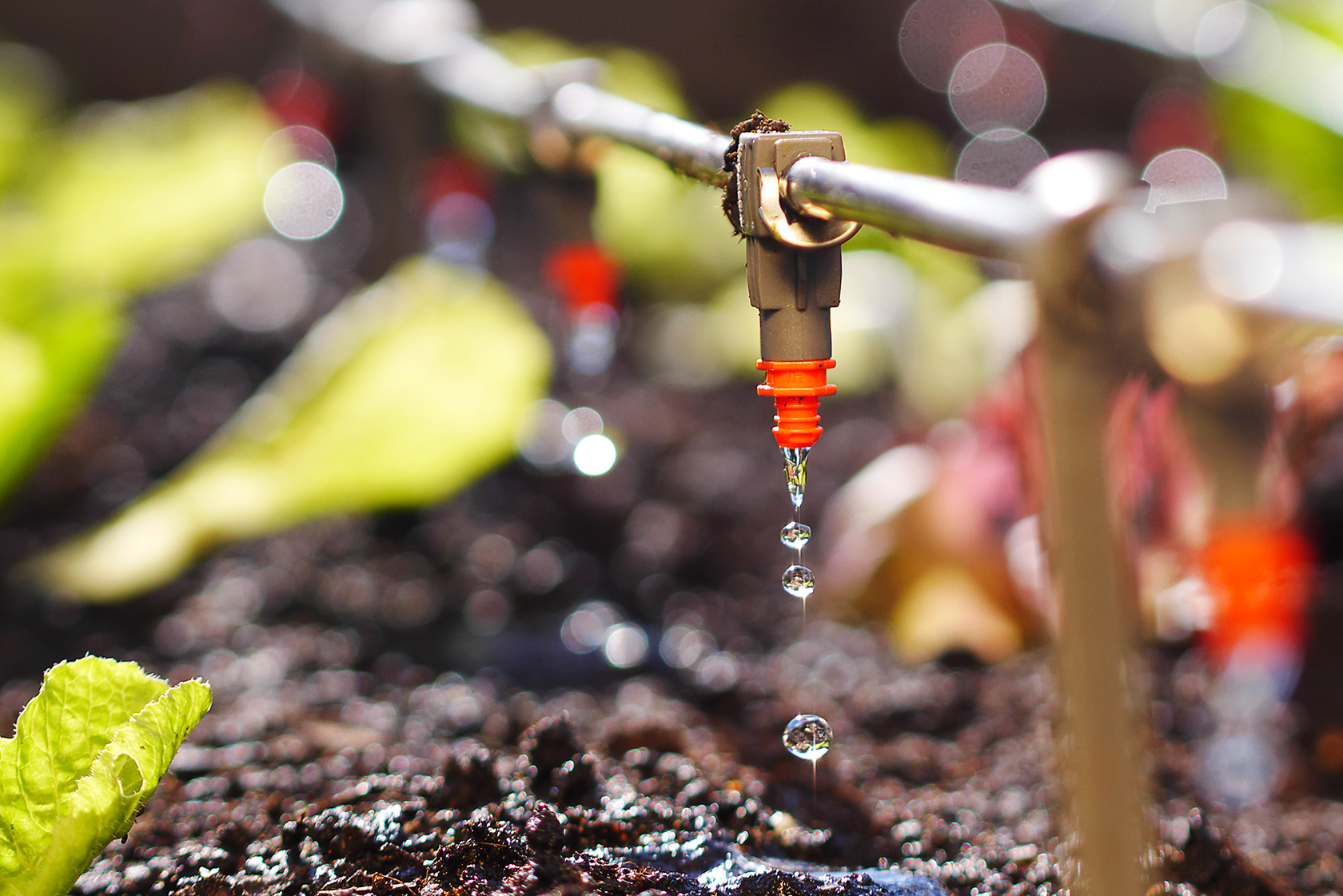 Come scegliere il miglior sistema di irrigazione interrata per il giardino