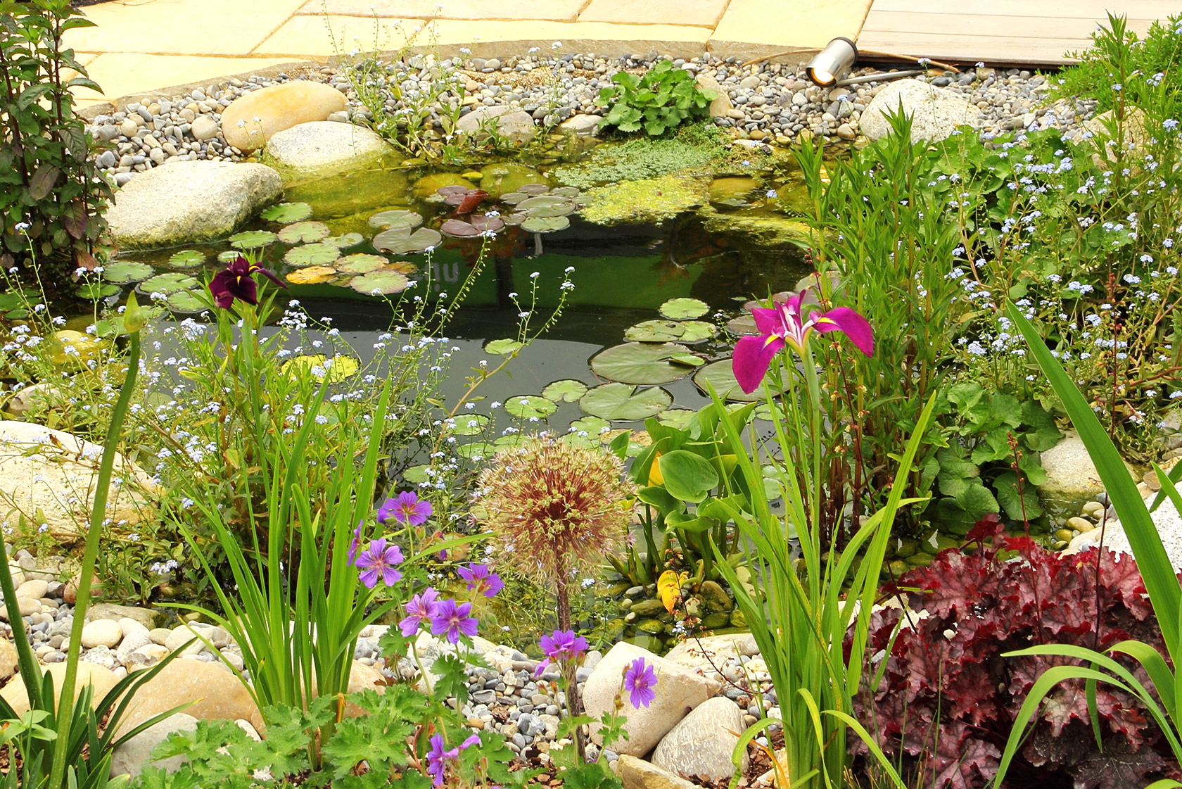 Teichbau So entsteht dein Gartenteich JUMBO