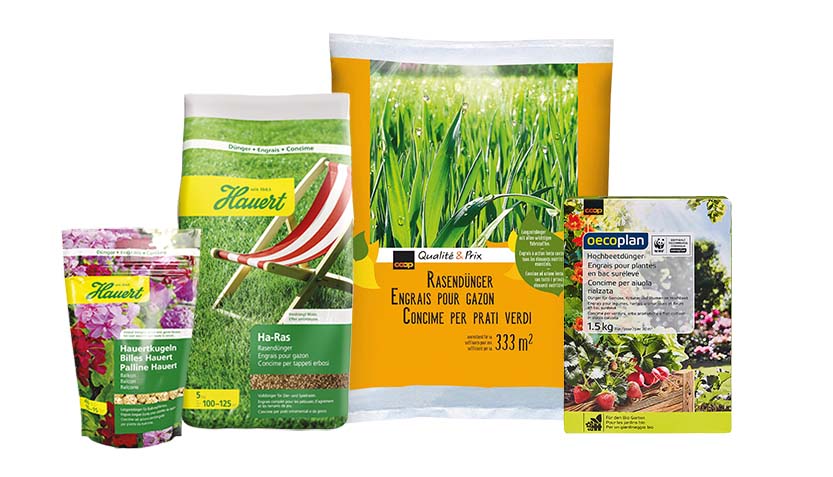 Festen Dnger online bestellen  JUMBO