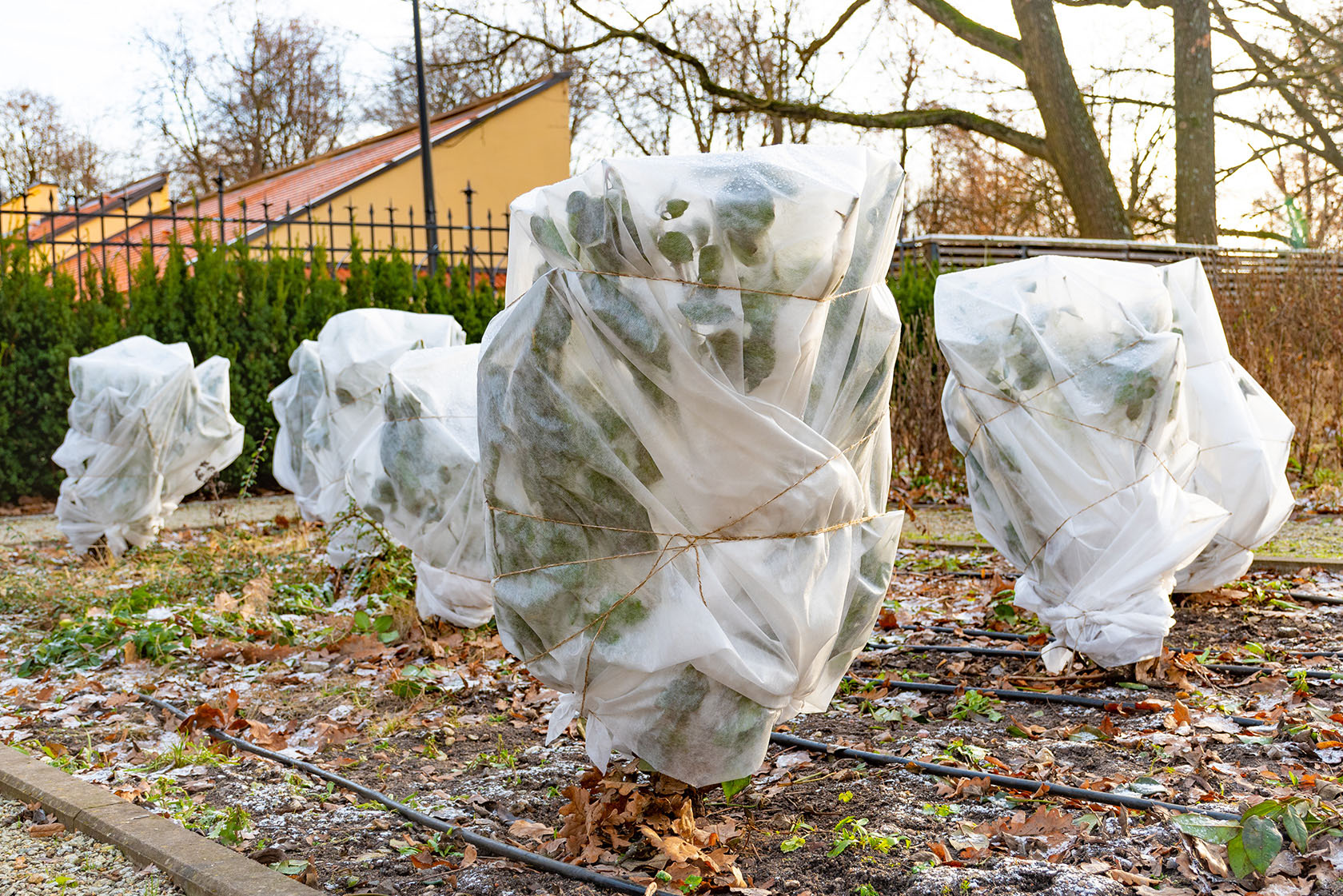 Winterschutz für Garten und Balkon bei JUMBO.