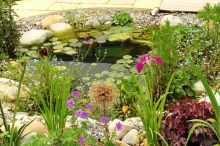 Teichbau: So entsteht dein Gartenteich – JUMBO