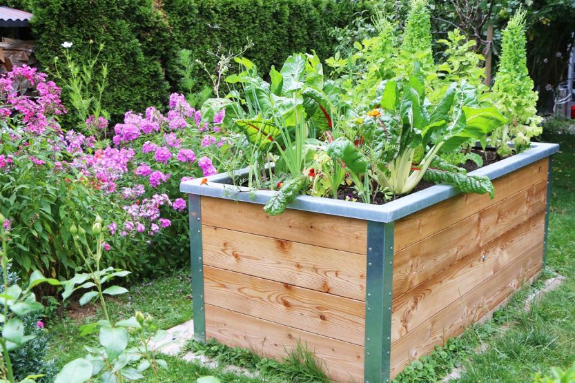 Hochbeete Garten en miniature JUMBO