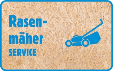 Go On Benzin Rasenmäher 42 JF1630HSL kaufen bei JUMBO