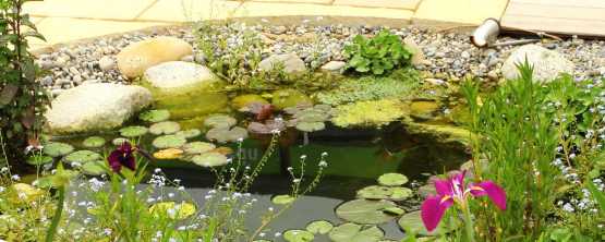 Poser une bâche de bassin: instructions et étapes - Mon Jardin Ideal