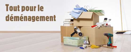 Sac déménagement ou cartons, que choisir pour déménager ?