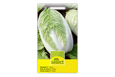 Image of Chinakohl Chorus bei JUMBO