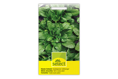 Image of Nüssler grün Vollherziger bei JUMBO