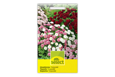 Image of Gänseblümchen Pomponette Mix bei JUMBO