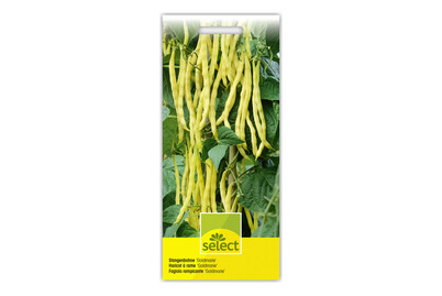 Image of Stangenbohne Goldmarie bei JUMBO