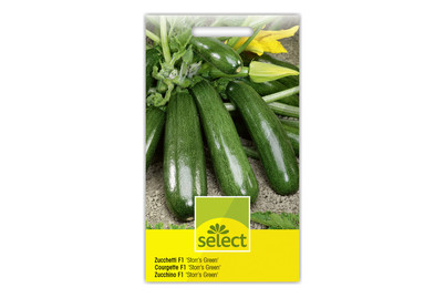 Image of Zucchetti Storr's Green bei JUMBO