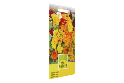 Image of Select Tropaeolum Mischung nieder bei JUMBO