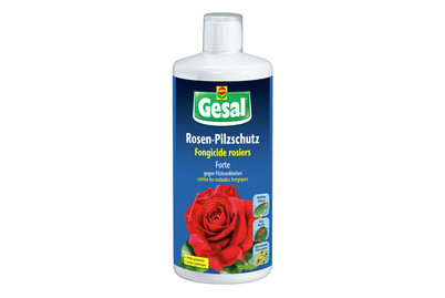 Image of Gesal Rosen-Pilzschutz 1 l bei JUMBO
