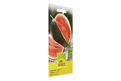 Image of Wassermelone Sugarbaby bei JUMBO