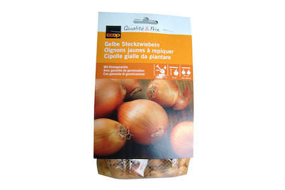 Image of Setzzwiebeln gelb 300 g bei JUMBO