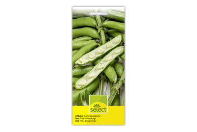 Image of Puffbohne Frühe Weisskeimige bei JUMBO