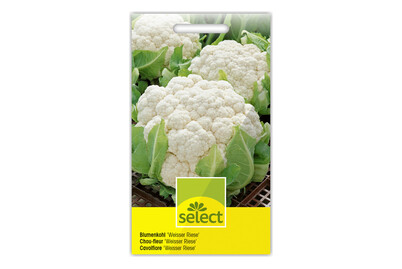 Image of Blumenkohl Weisser Riese bei JUMBO
