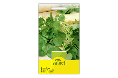 Image of Brunnenkresse bei JUMBO