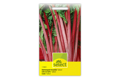 Image of Stielmangold-Krautstiel Vulkan bei JUMBO
