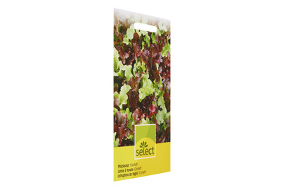Image of Select Pflücksalat Confetti bei JUMBO