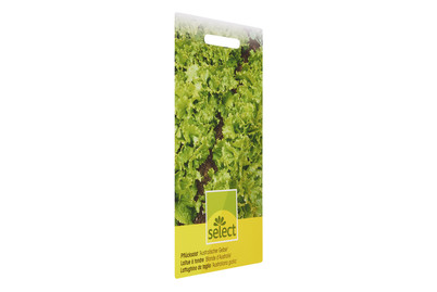 Image of Pflücksalat Australisch Gelb bei JUMBO