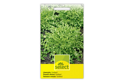 Image of Löwenzahn Goldherz bei JUMBO