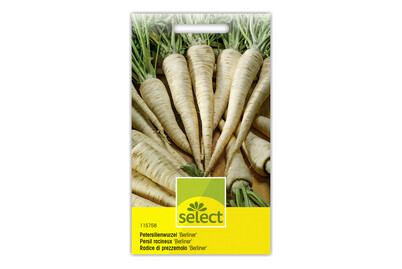 Image of Petersilienwurzel Berliner bei JUMBO