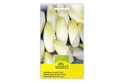 Image of Treibzichorie Mechelse Vroeg bei JUMBO