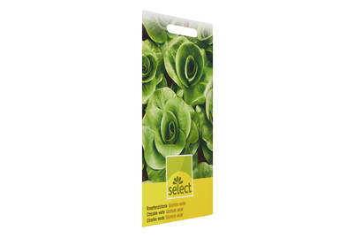 Image of Rosettenzichorie Grumolo verde bei JUMBO