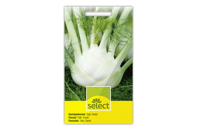 Image of Gemüsefenchel Zefa Tardo bei JUMBO