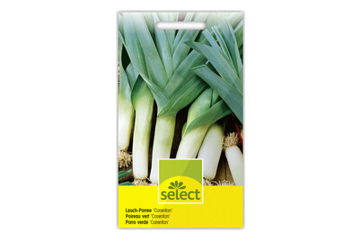 Image of Lauch-Porree Carentan bei JUMBO