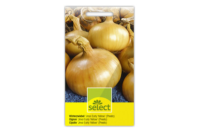 Image of Winterzwiebel Jmai Early Yellow bei JUMBO