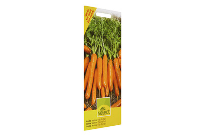 Image of Karotte Nantaise Typ Tip-Top bei JUMBO