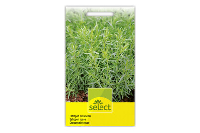 Image of Estragon russisch bei JUMBO