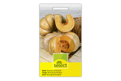 Image of Kürbis Musquée de Provence bei JUMBO