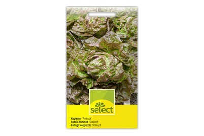 Image of Kopfsalat Rotkopf bei JUMBO