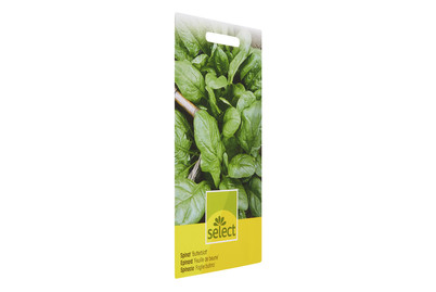 Image of Spinat Butterblatt bei JUMBO