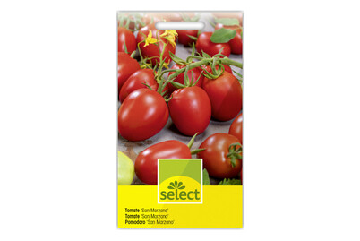 Image of Tomate San Marzano
