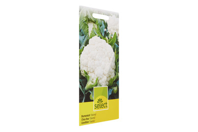 Image of Winterblumenkohl Eskimo bei JUMBO