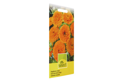 Image of Ringelblume gefüllt tieforange bei JUMBO