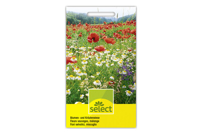 Image of Samen Blumen und Kräuterwiese bei JUMBO