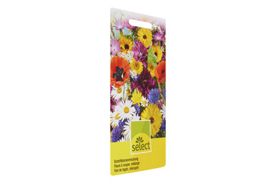 Image of Schnittblumen einjährig gemischt bei JUMBO