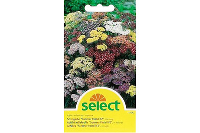 Image of Schafgarbe Summer Pastell bei JUMBO