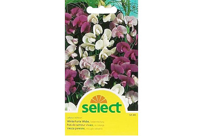 Image of Winterharte Wicke Mischung bei JUMBO