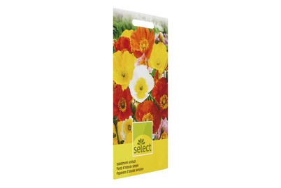 Image of Papaver Islandmohn Mischung bei JUMBO