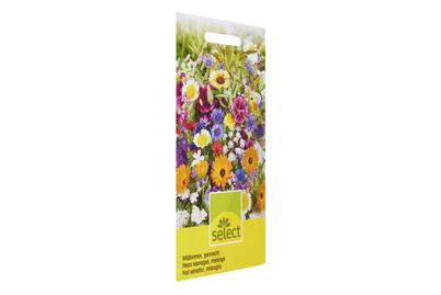 Image of Wildblumen gemischt bei JUMBO