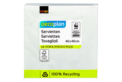 Image of Oecoplan Servietten weiss 40cm 50 Stück bei JUMBO