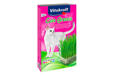 Image of Vitakraft Katzengras bei JUMBO