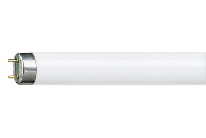 Image of Philips Röhre TL-Mini 13W 59cm warmweiss bei JUMBO