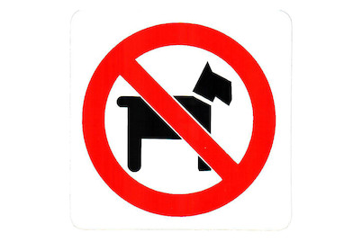 Image of Schild Keine Hunde 75x75x0.4 mm bei JUMBO