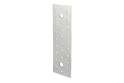 Image of Lochplatte Eisen 60x200x2 mm bei JUMBO